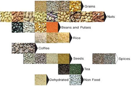 color sorter applications
